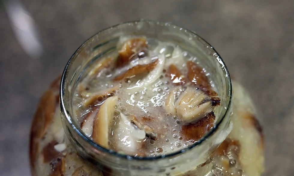 Fermented Mushroom Blend